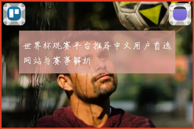 世界杯观赛平台推荐中文用户首选网站与赛事解析