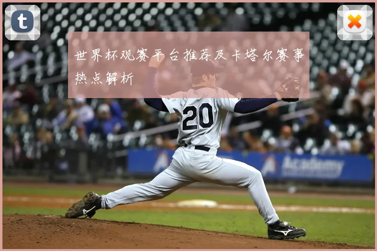 世界杯观赛平台推荐及卡塔尔赛事热点解析